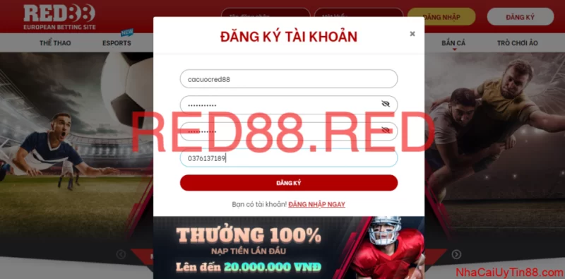 Đa dạng các sản phẩm cá cược và khuyến mãi cực khủng