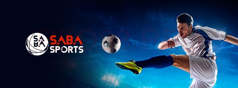 Sảnh SABA Sports rất được các bet thủ ưa chuộng