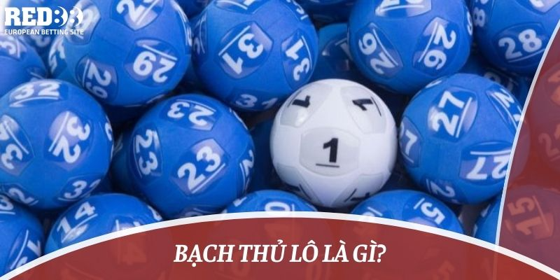 bạch thủ lô là gì