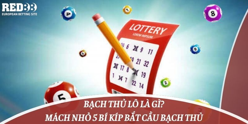 Bạch Thủ Lô Là Gì? Mách Nhỏ 5 Bí Kíp Bắt Cầu Bạch Thủ