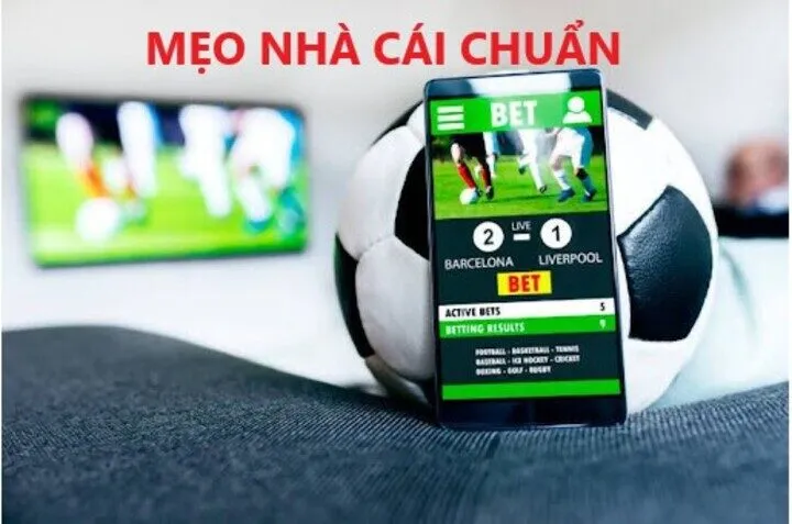 Bật mí mẹo nhà cái chuẩn khi cá độ trực tuyến